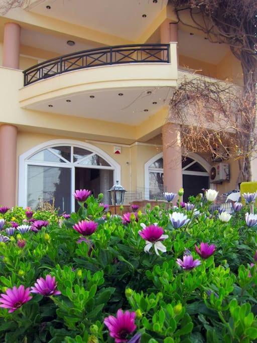 Lenico Beachfront Suites Ajía Pelajía Kültér fotó