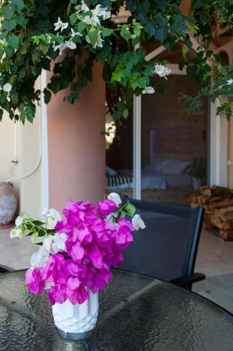 Lenico Beachfront Suites Ajía Pelajía Kültér fotó