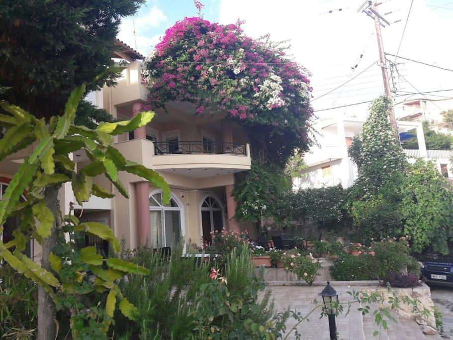 Lenico Beachfront Suites Ajía Pelajía Kültér fotó